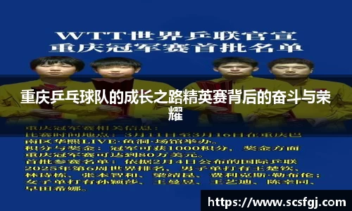 PA视讯